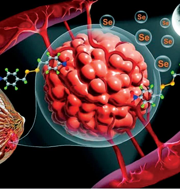 IASST synthesises new compound to combat aggressive breast cancer